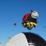 OTRA_2016_0335 (October 05, 2016)